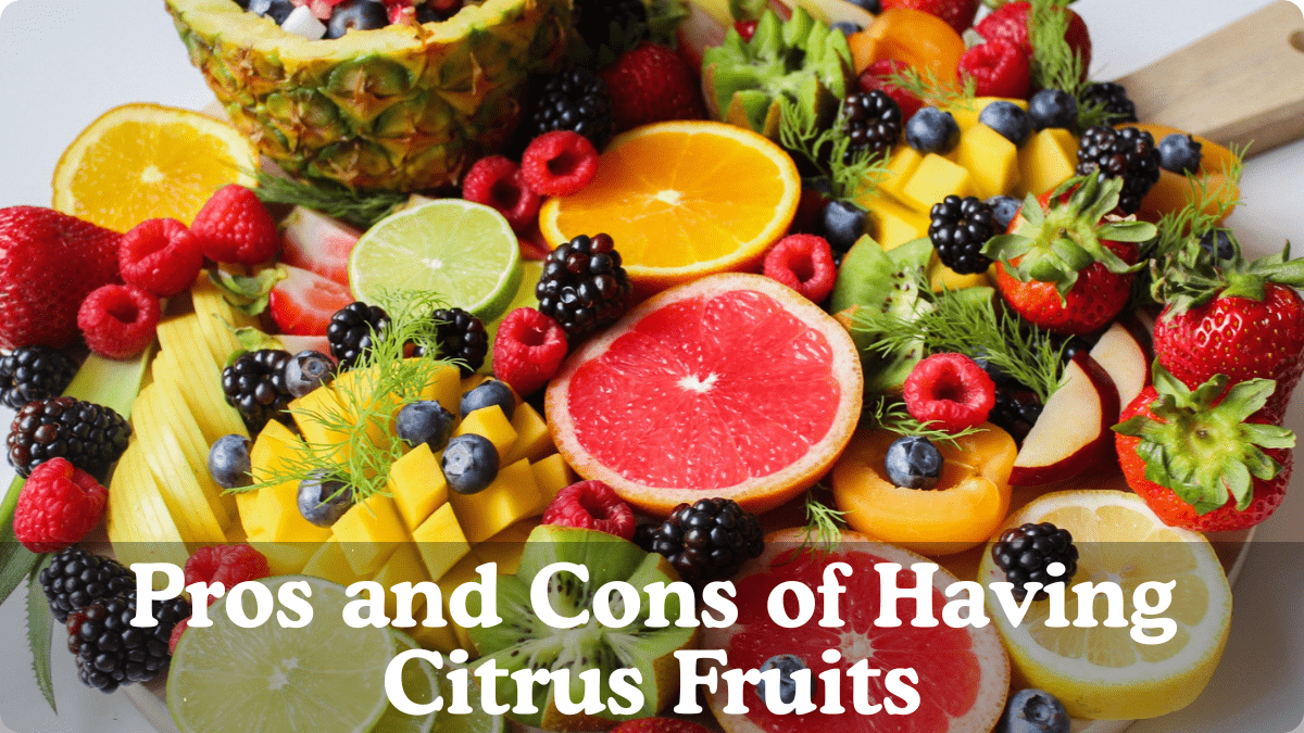 Citrus Fruits Citrus Fruits