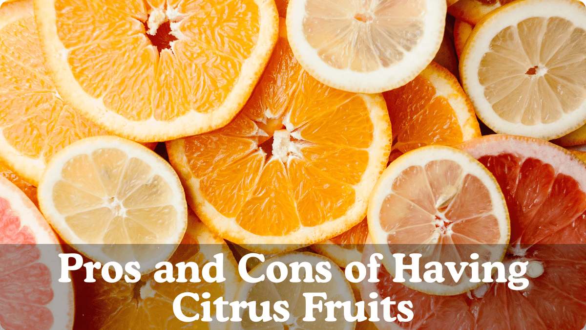 Citrus Fruits